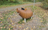 M&uuml;hlheim, Wildschwein (2).JPG